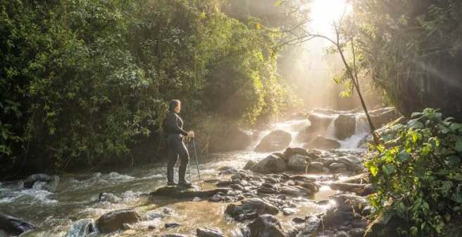  International day of forests: commemorating nature’s trailblazers
