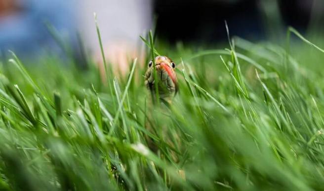  Implicit Bias: the snake in the grass of the research ecosystem