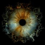 Close up picture of the human eye