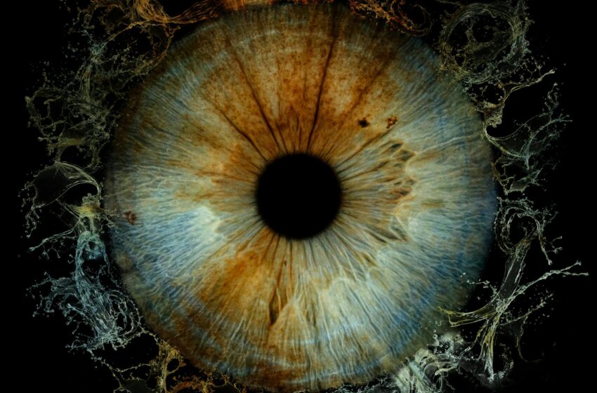  This could’ve been an infographic: Role of visuals in communicating biomedical research