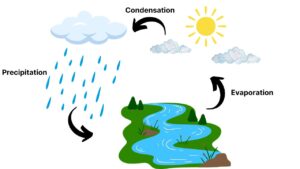 water cycle image
