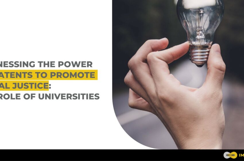  Harnessing the Power of Patents to Promote Social Justice: The Role of Universities